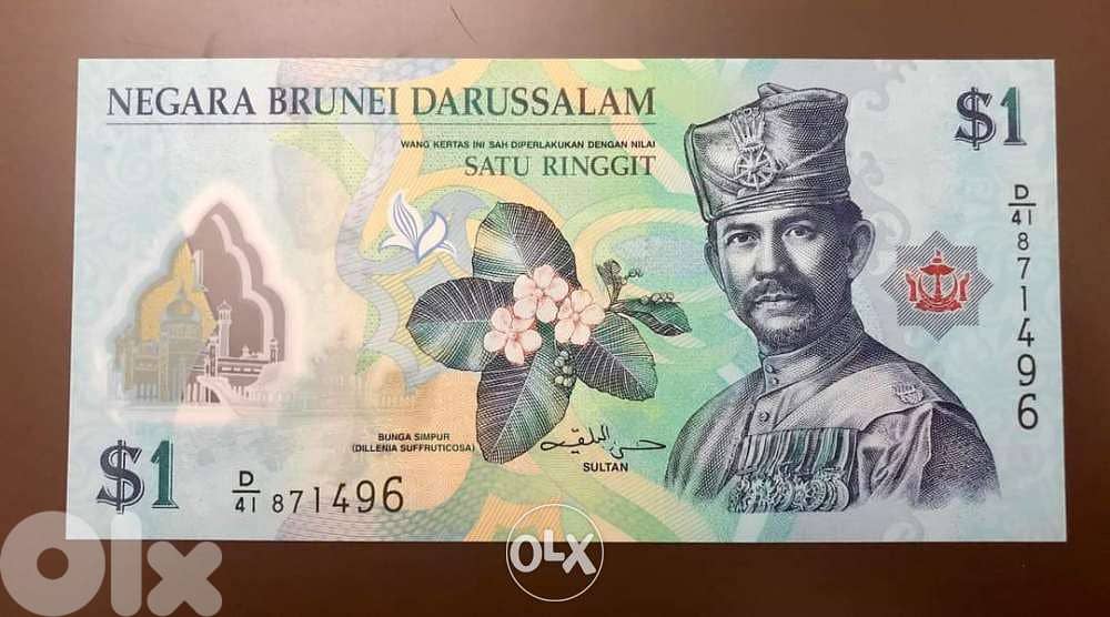 Polymer bank note 0