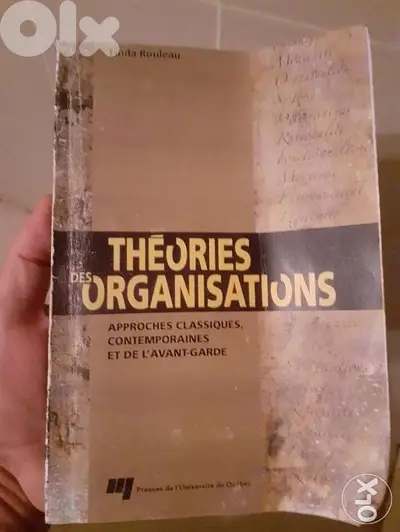 Theories des organisations