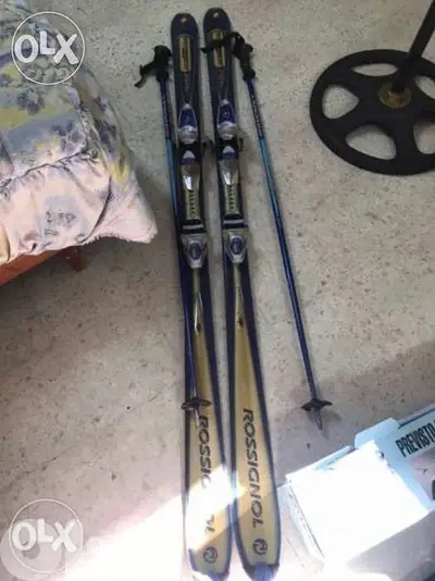 Ski & Stand for car