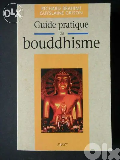 guide pratique du bouddhisme book