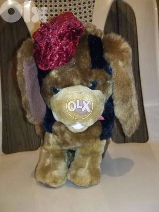 DOG LIGHT BROWN with hat large height 30Cm great cute as new plush=12$ 5
