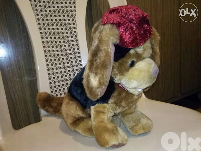 DOG LIGHT BROWN with hat large height 30Cm great cute as new plush=12$ 2