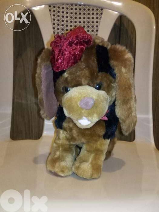DOG LIGHT BROWN with hat large height 30Cm great cute as new plush=12$ 0