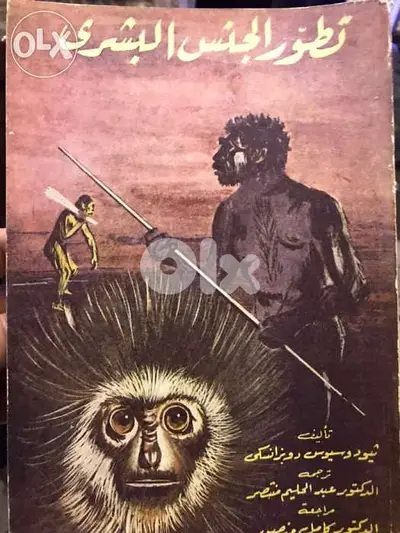 تطور الجنس البشري عبر التاريخ