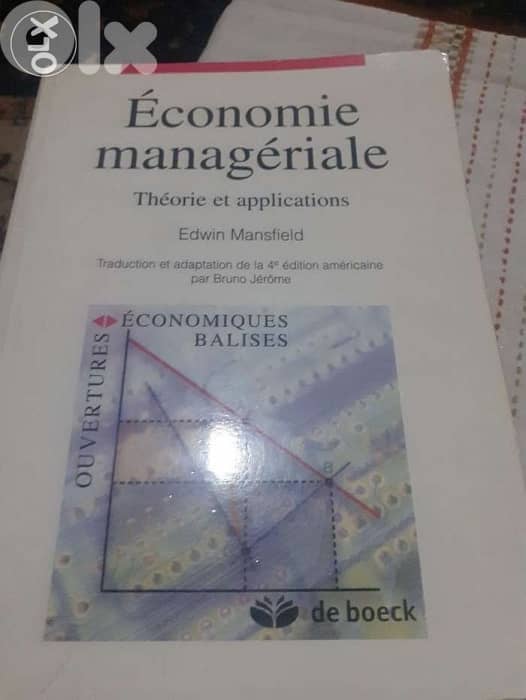 Economie manageriale 0