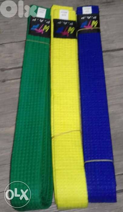 Martial arts belt 0