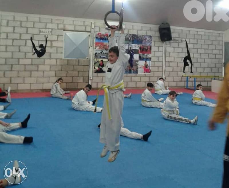 Taekwondo private classes 0