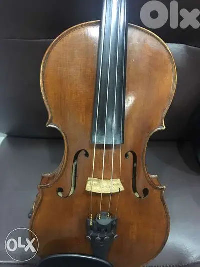 Violin