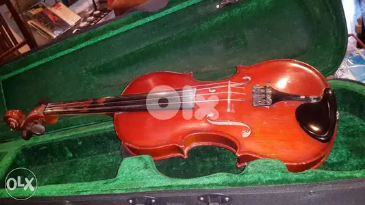 Violin