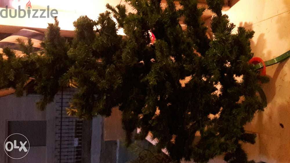 Christmax tree 0