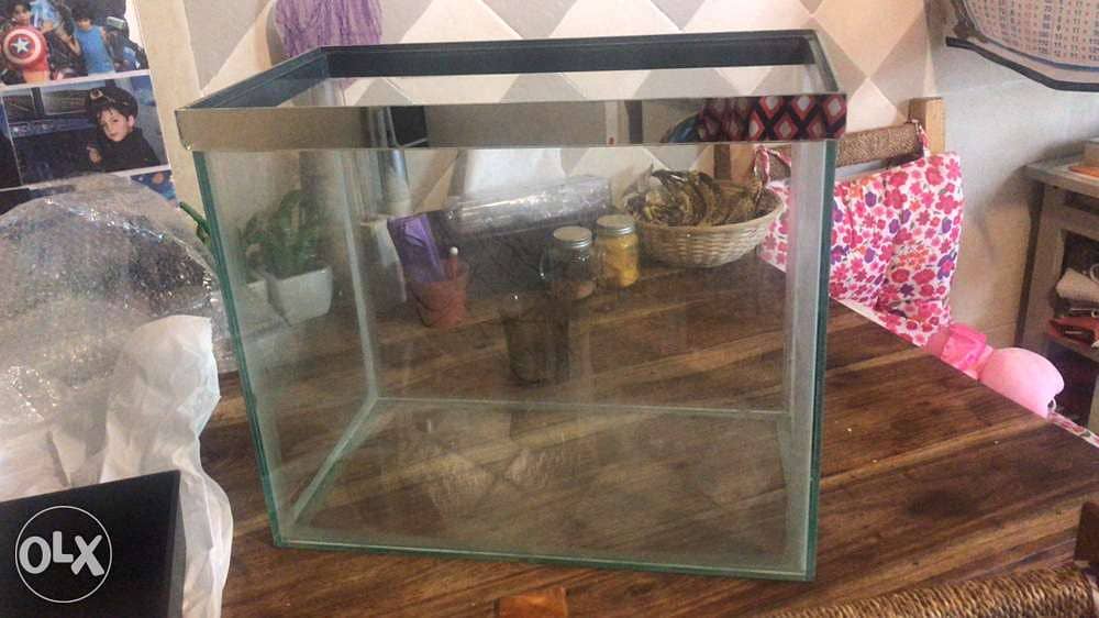 glass aquarium with light bulb 0