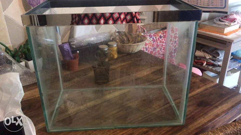 glass aquarium with light bulb 1