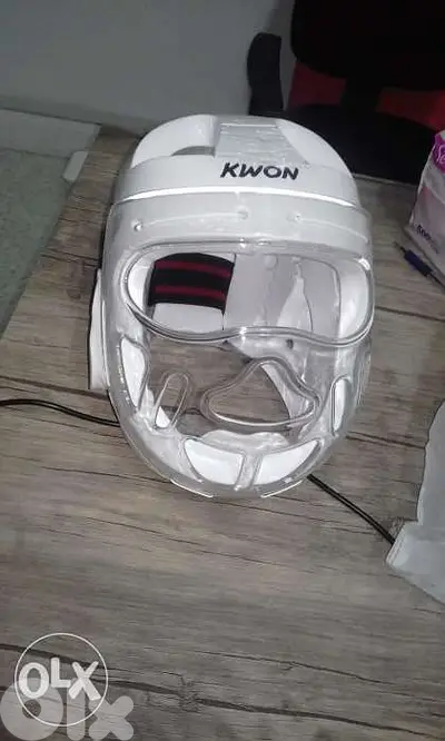 Face mask (all taekwondo accessories)