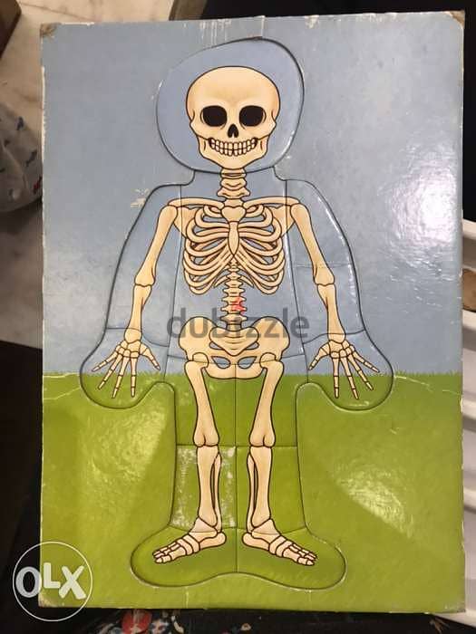 ELC my body puzzle 2
