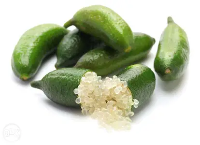 italian citron caviar / finger lime حامض سيترون كافيار