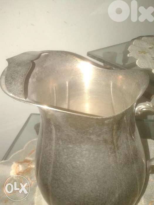 Brazilian pitcher 2