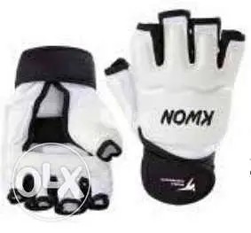 Taekwondo GLOVES (Kwon brand)