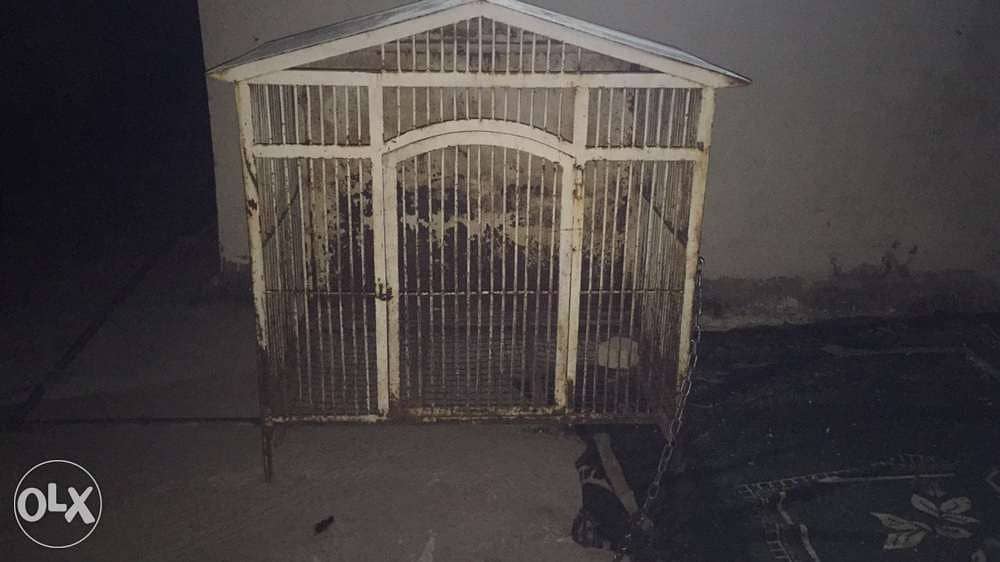 dog house 0