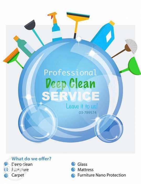 Professional Deep CLean 1