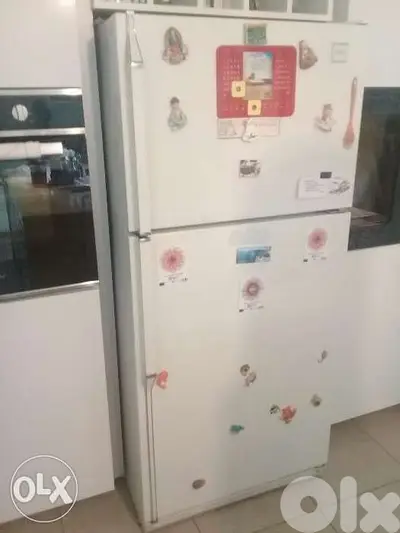 Fridge W76 x D80 x H169 cm