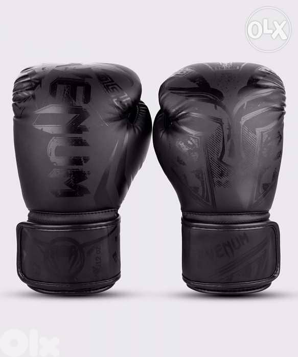 boxing gloves 2