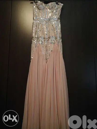 Strepless Light Pink and Silver dress.