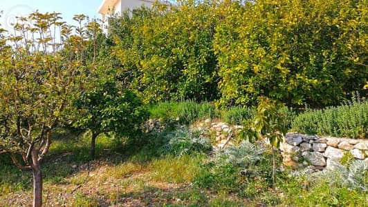Land for Sale in Blat– أرض للبيع في بلاط. |PLS24598