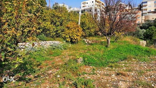 Land for Sale in Blat– أرض للبيع في بلاط. |PLS24598