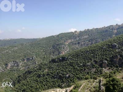 Apartment for Sale with Large Terrace Jbeil - شقق للبيع