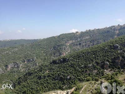 Apartment for Sale in Hboub Jbeil duplex - شقة للبيع في حبوب جبيل
