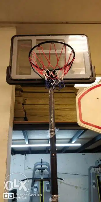 Basketball
