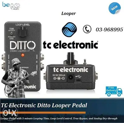 TC Electronic Ditto Looper Pedal,Compact looper pedal for guitar &Bass
