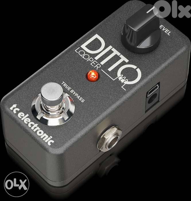 TC Electronic Ditto Looper Pedal,Compact looper pedal for guitar &Bass 4