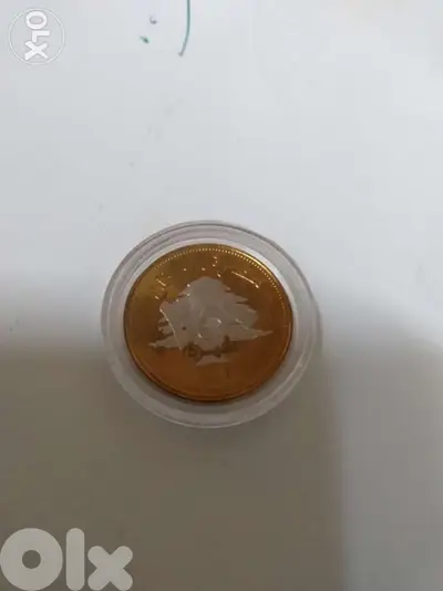 Lucky Coin 250 Lira Memorial BDL year 2012