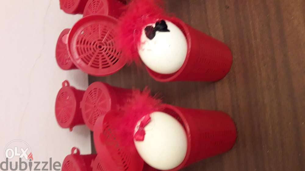 Valentine's day 2