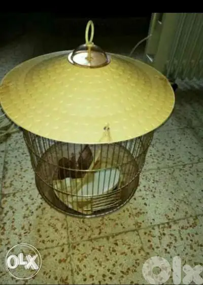 اقفاص عصافير مع كل القطع