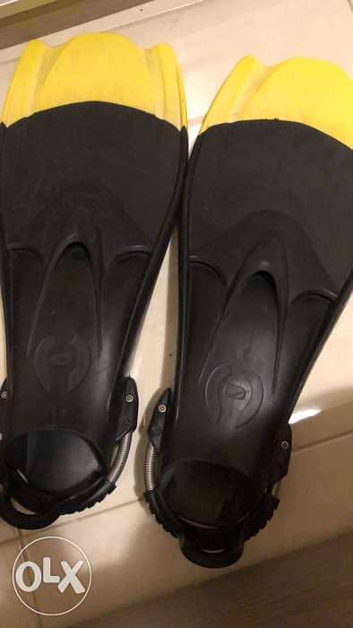 Hollis F1 fins 0