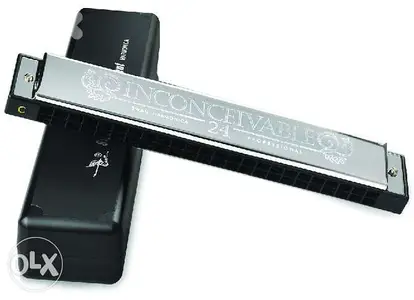 Brand New 24 Holes Inconceivable Harmonica Musical Instrument