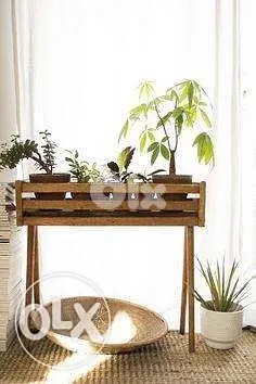 Green plants wood stand ستاند للزهور خشب