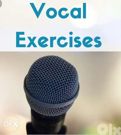 Singing and vocal private lessons and singing coaching