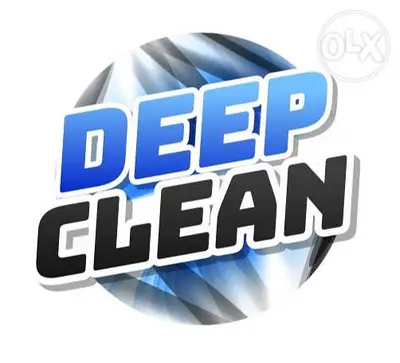 Professional CLeaners