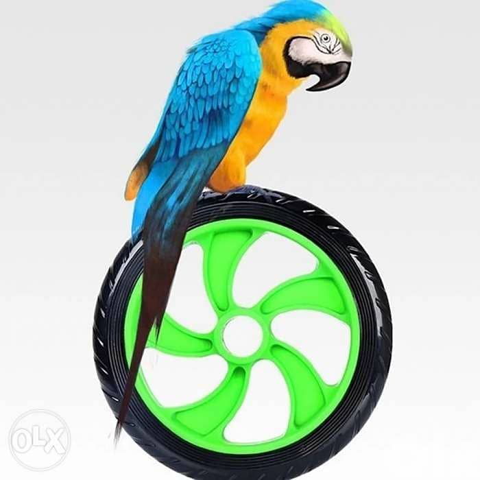 AB Wheel Roller 1