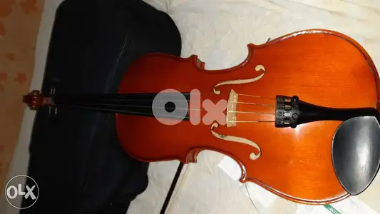 viola , alto viola , alto