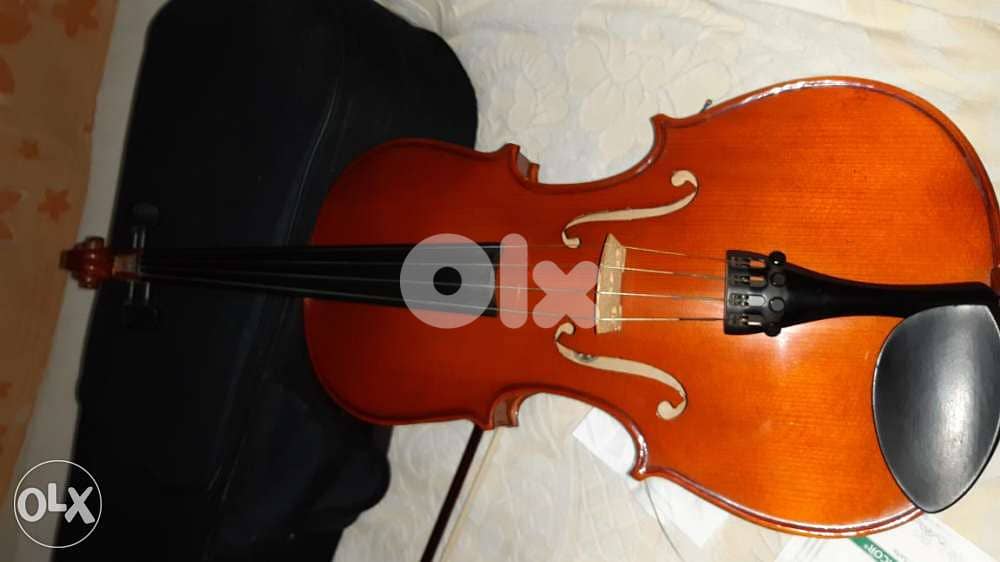 viola , alto 0