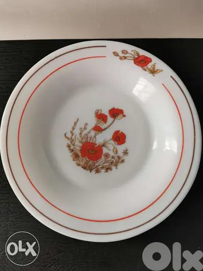 12 Vintage Arcopal milk glass dinner plates