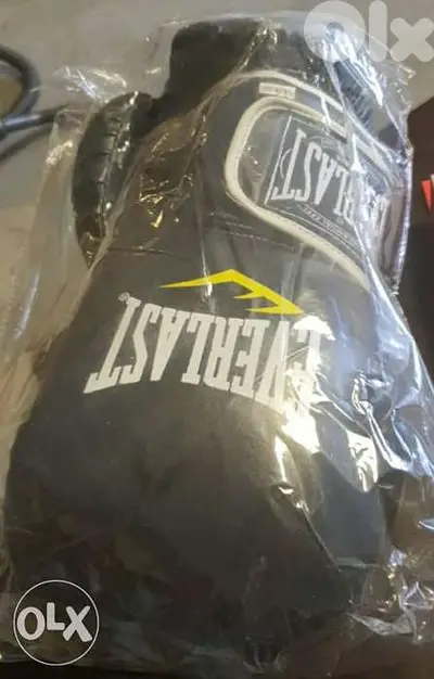 Martial arts gloves
