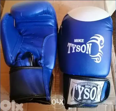 Boxing gloves