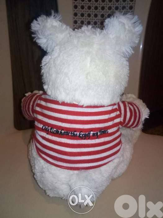 WHITE MEDIUM DOG PLUSH as new toy, height: 30 Cm in summer shirt=11$ 2