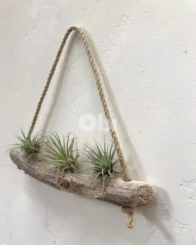 old natural wood garden wall pot old natural wood garden wall pot