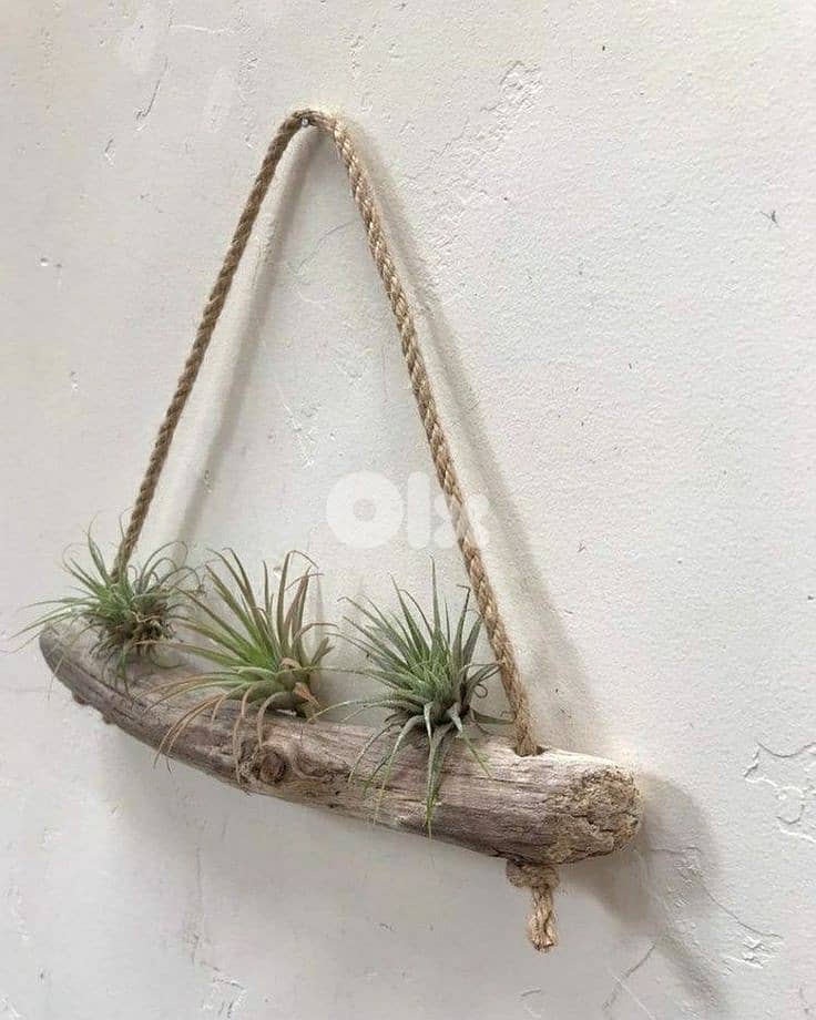 old natural wood garden wall pot 0